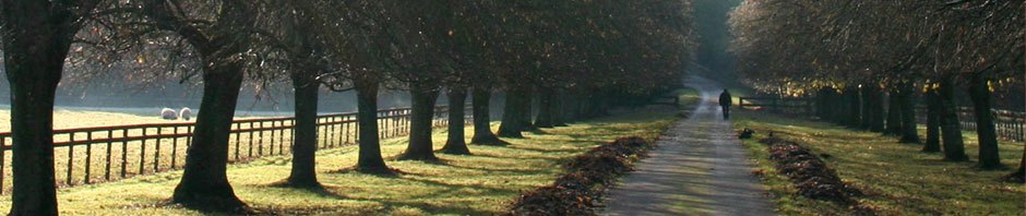 Ecofeminism Philosophy and Practice
